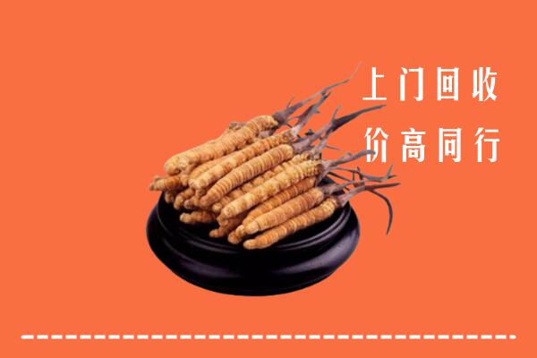 金凤区回收散虫草