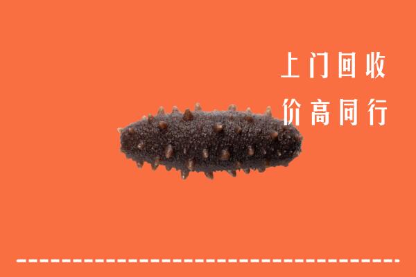 收购行情：金凤区回收海参